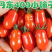 【推荐【丹东409小柿子基地直供品质保证诚信经营欢迎下单