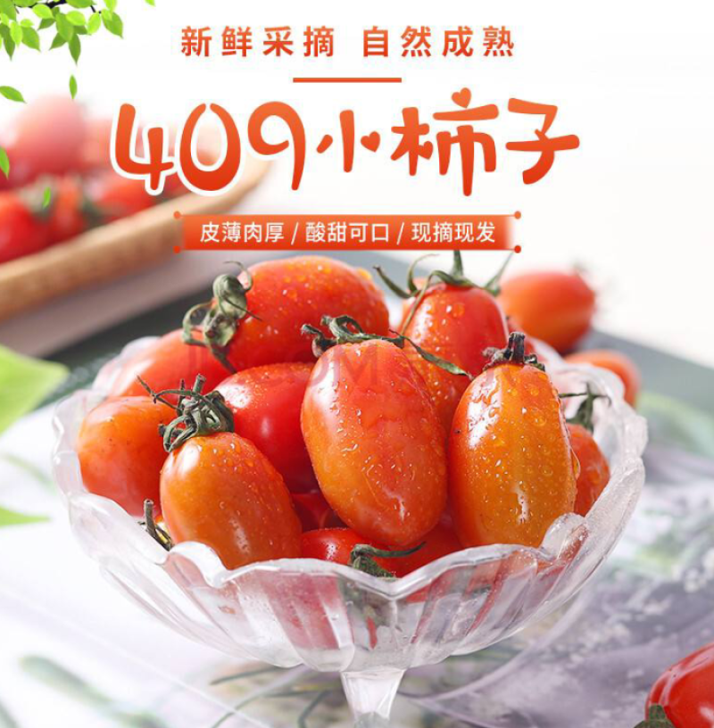 【推荐【丹东409小柿子基地直供品质保证诚信经营欢迎下单