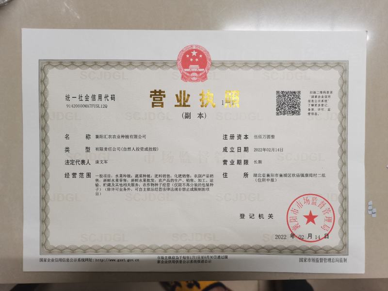 石蒜红花石蒜庭院绿化工程用苗量大从优一手货源