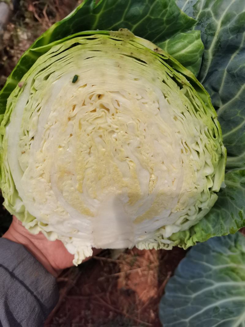 颜色好
