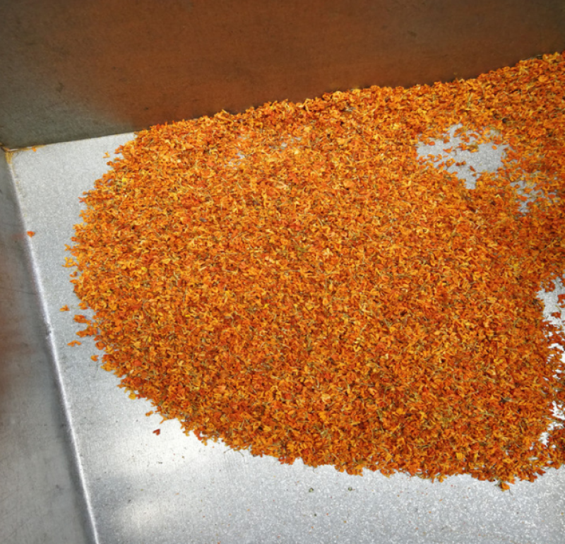 2025新丹桂厂家直销散装批发手工挑选代用茶花草茶量大从