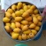 武鸣夏黄枇杷