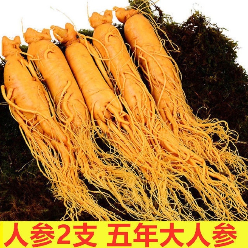 泡酒药材配方男性持久肾补鹿茸鹿鞭人参玛咖灵芝