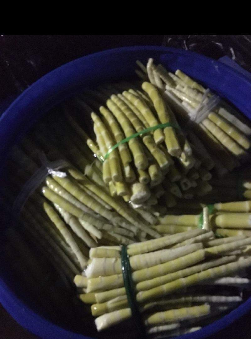三月笋甜笋适合竹笋炒肉片不辣口可生吃