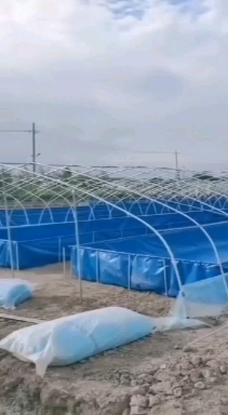 养殖棚，种植棚，蔬菜棚，成套大棚，厂家直销
