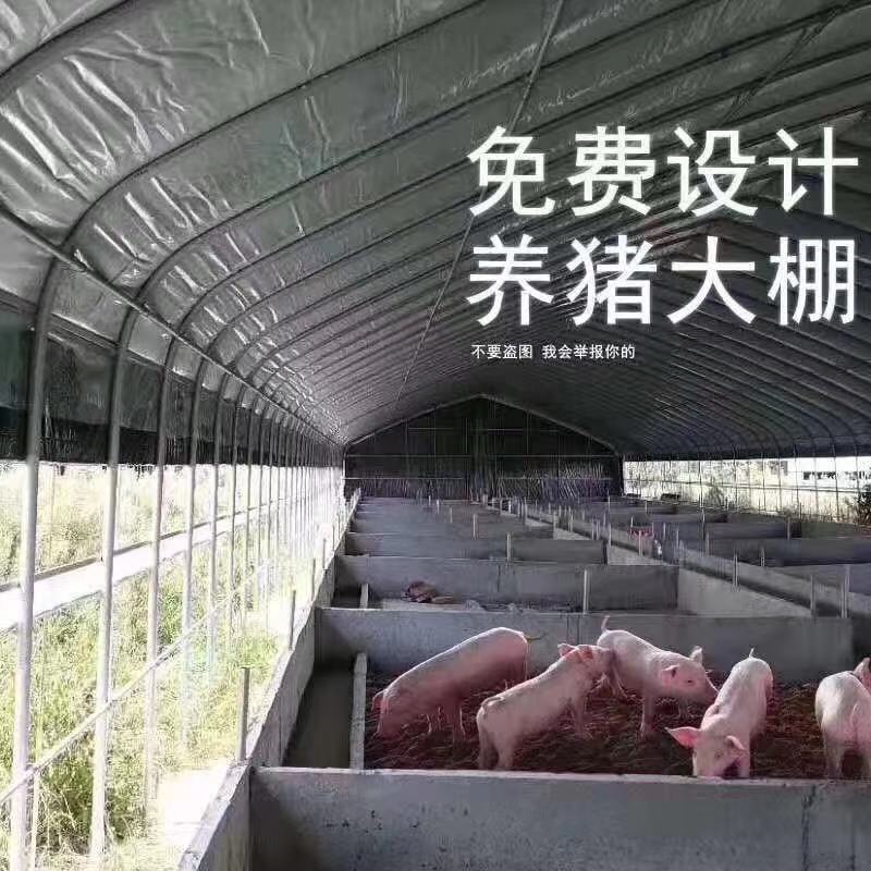养殖棚，种植棚，蔬菜棚，成套大棚，厂家直销