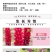 鲁冰花种子羽扇豆种子庭绿化花卉种子新种子发芽率高