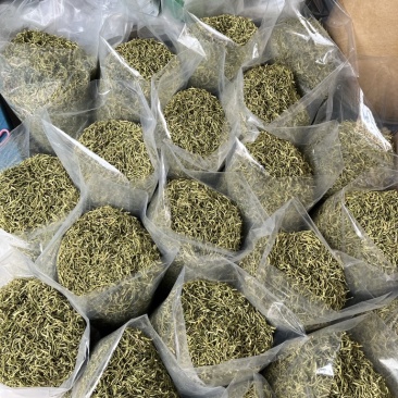 金银花