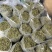 金银花