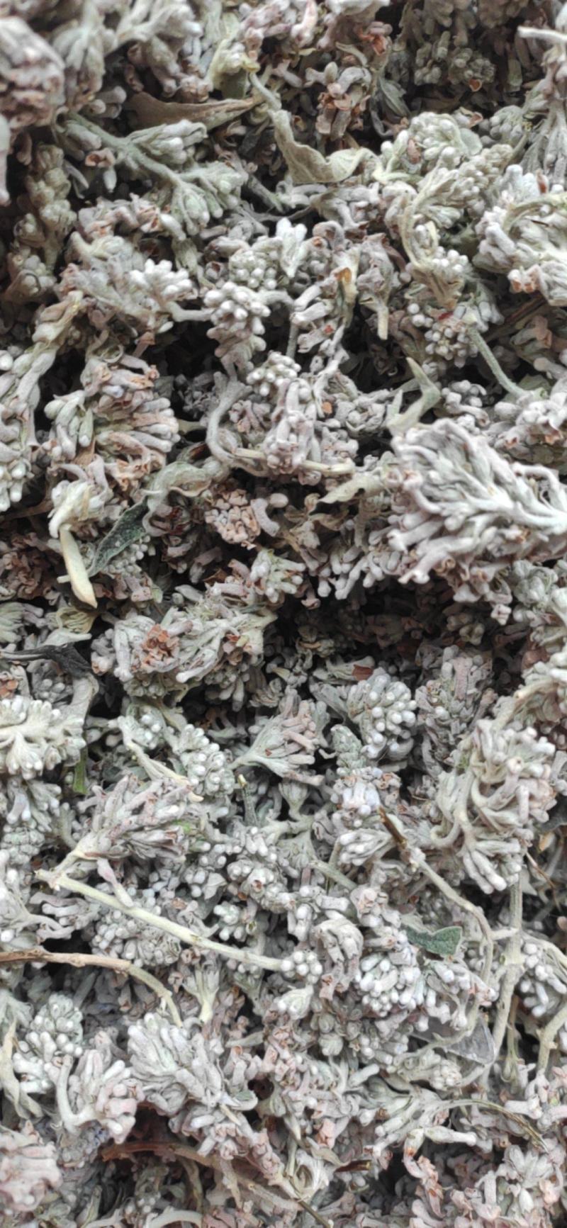 密蒙花干货干净无杂质常年经营各种中药材