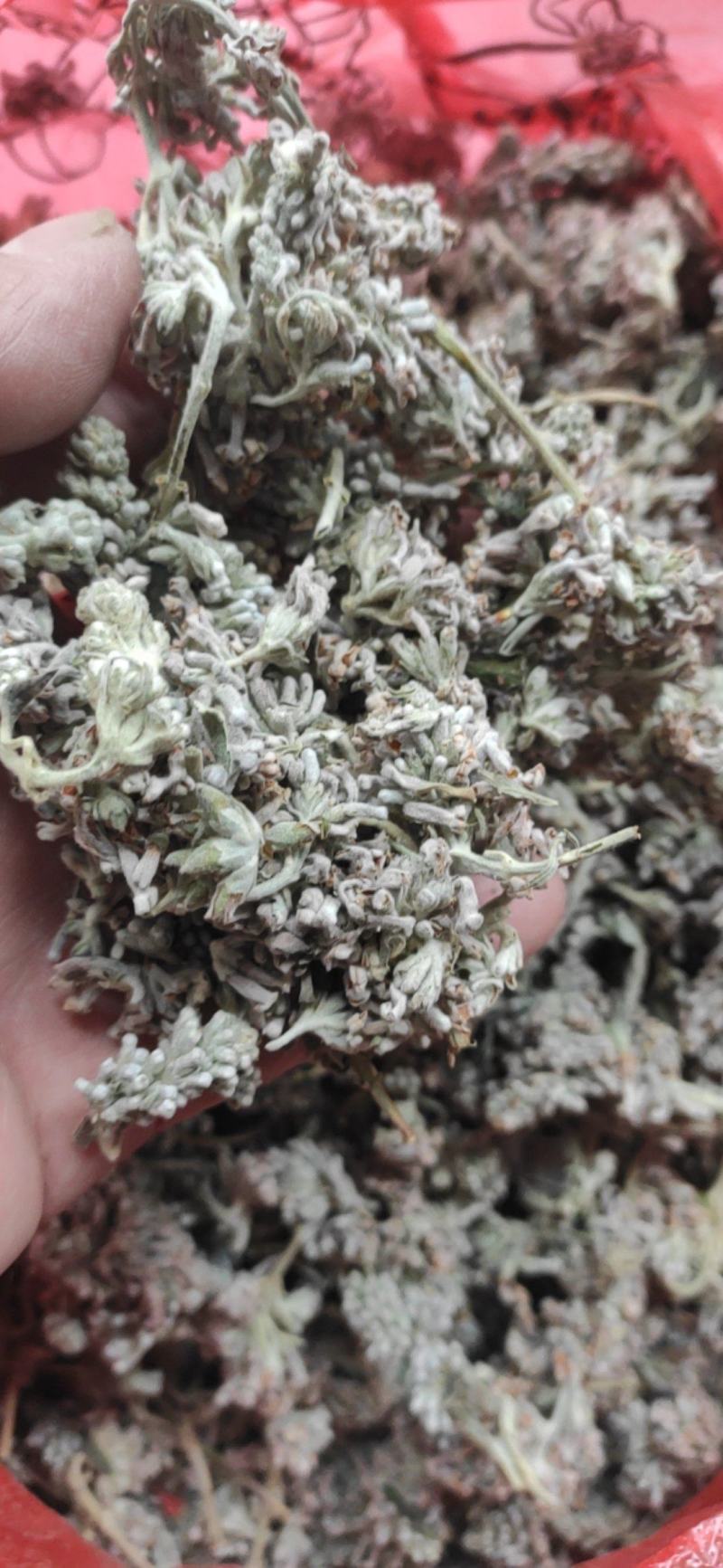 密蒙花干货干净无杂质常年经营各种中药材