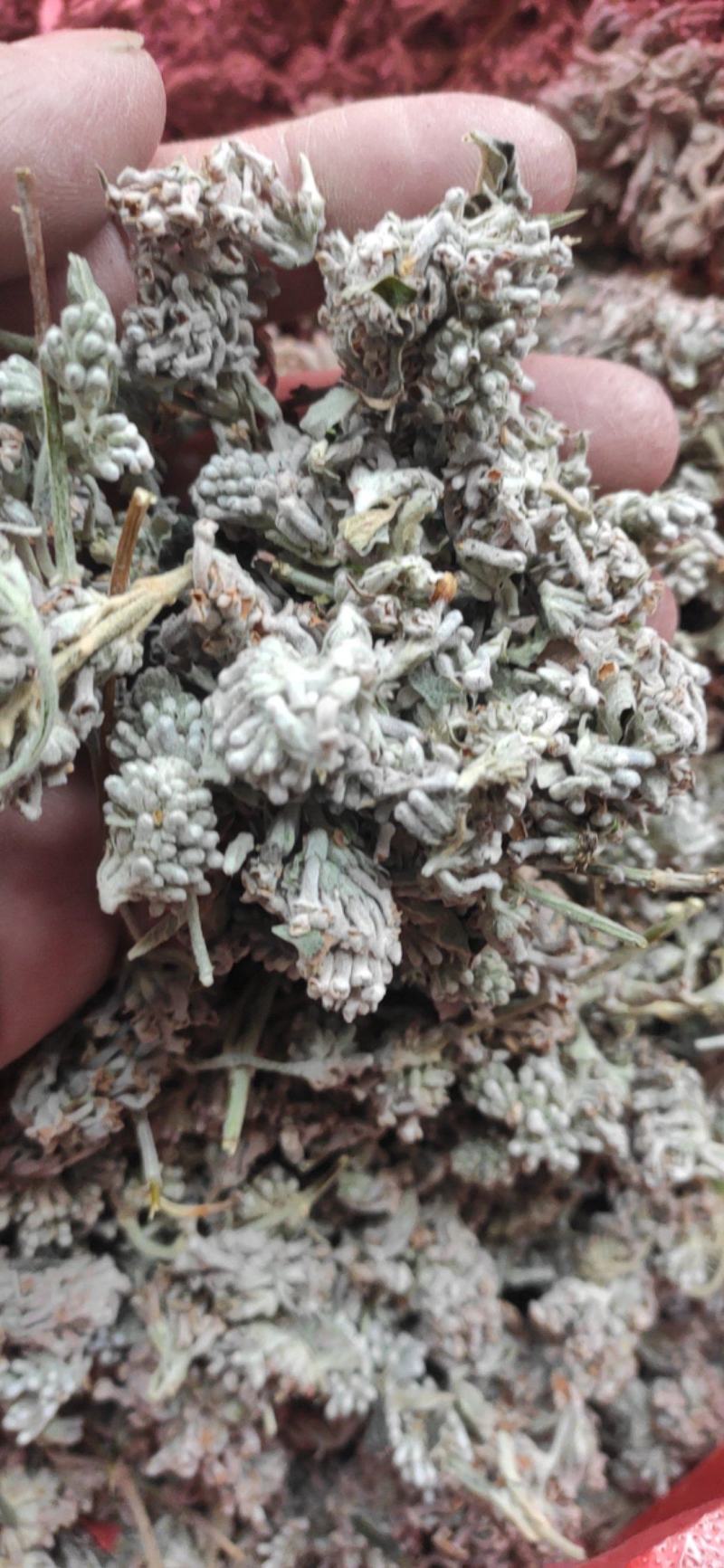 密蒙花干货干净无杂质常年经营各种中药材