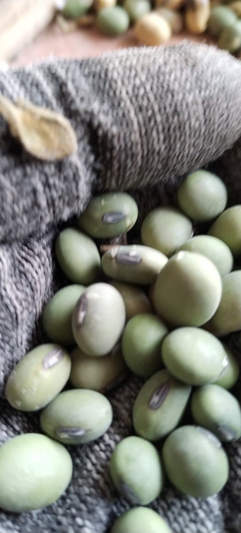绿大豆优质双青豆里外青青豆类烧鱼最加搭档