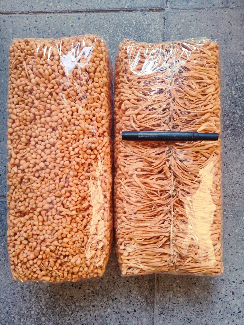 精品特粗条虫草花，产地发货，一手货源，价格实惠。质量好。