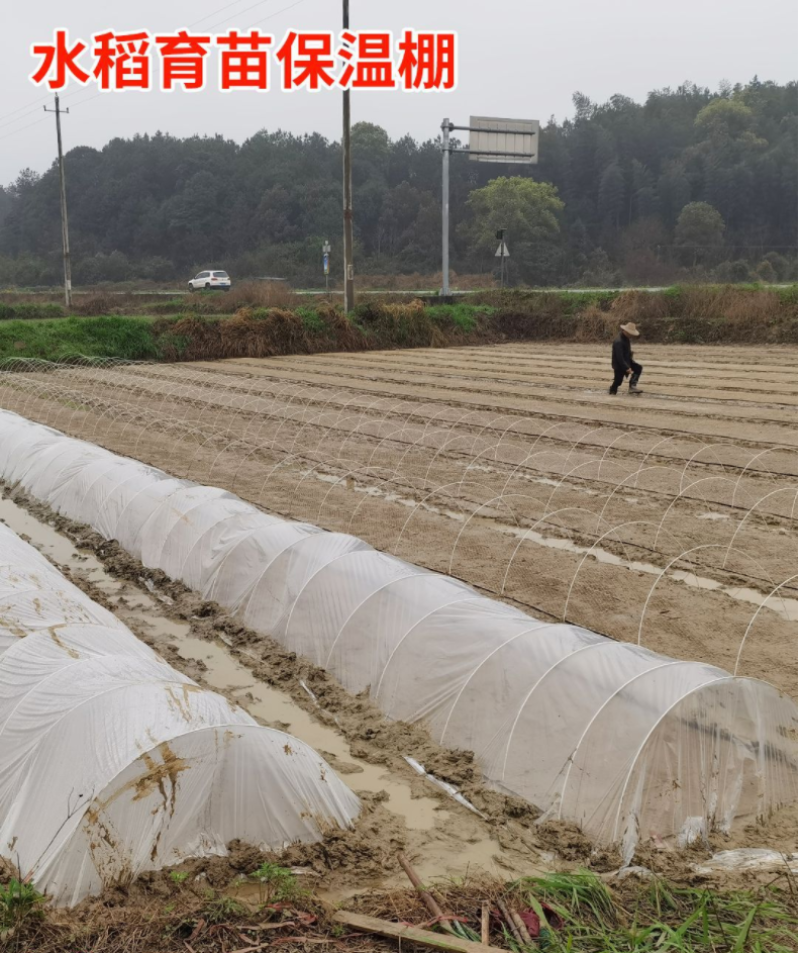 玻璃纤维实芯棒水稻育秧蔬菜西瓜保温棚拱杆支撑杆爬杆可订制