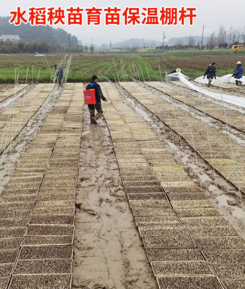 玻璃纤维实芯棒水稻育秧蔬菜西瓜保温棚拱杆支撑杆爬杆可订制