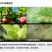 戊唑醇内吸传导杀菌谱广杀菌剂锈病斑点落叶病