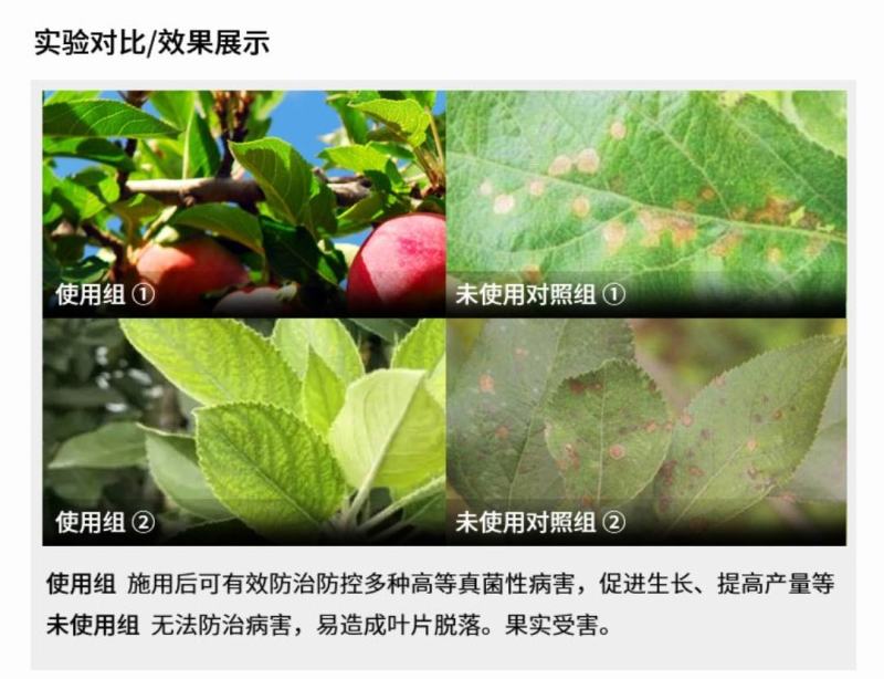 戊唑醇内吸传导杀菌谱广杀菌剂锈病斑点落叶病