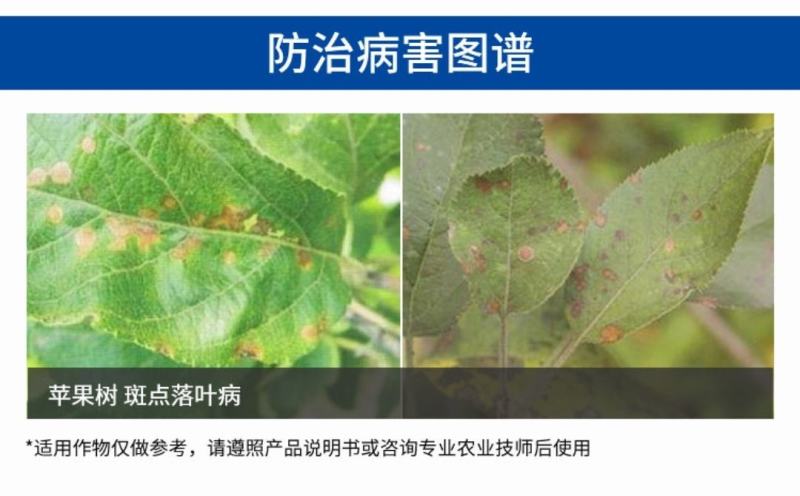 戊唑醇内吸传导杀菌谱广杀菌剂锈病斑点落叶病