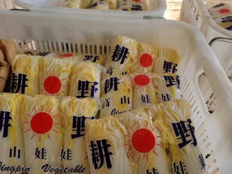 莴笋，蒜苗，大蒜，洋葱，白菜，香芹