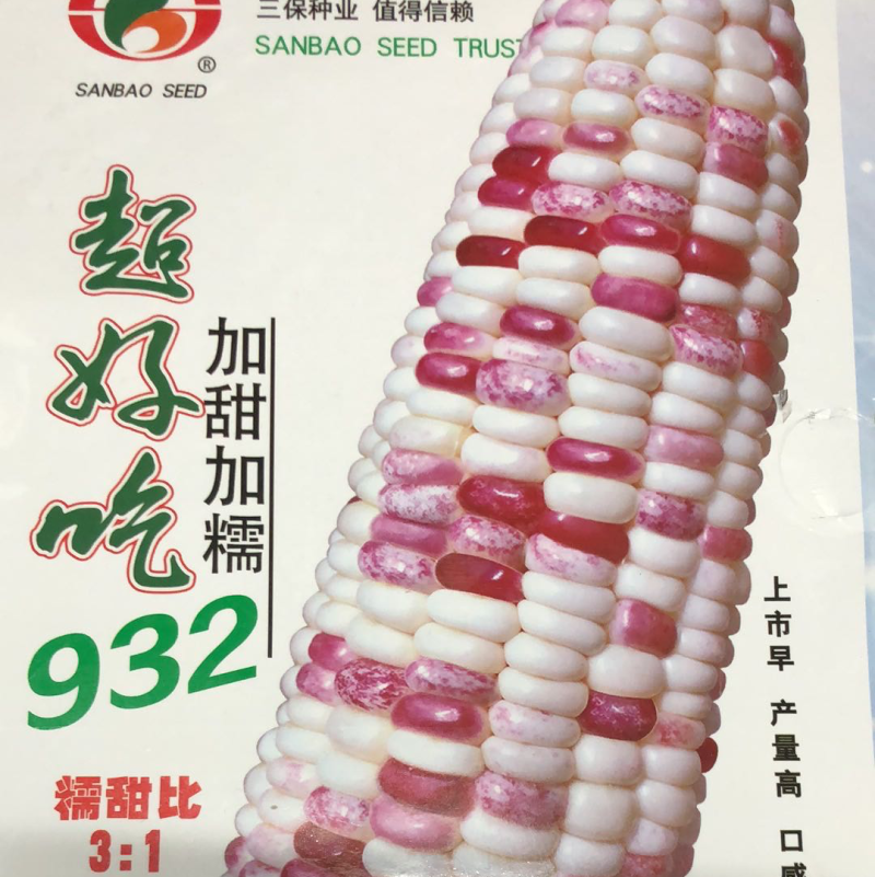 彩甜糯玉米种子