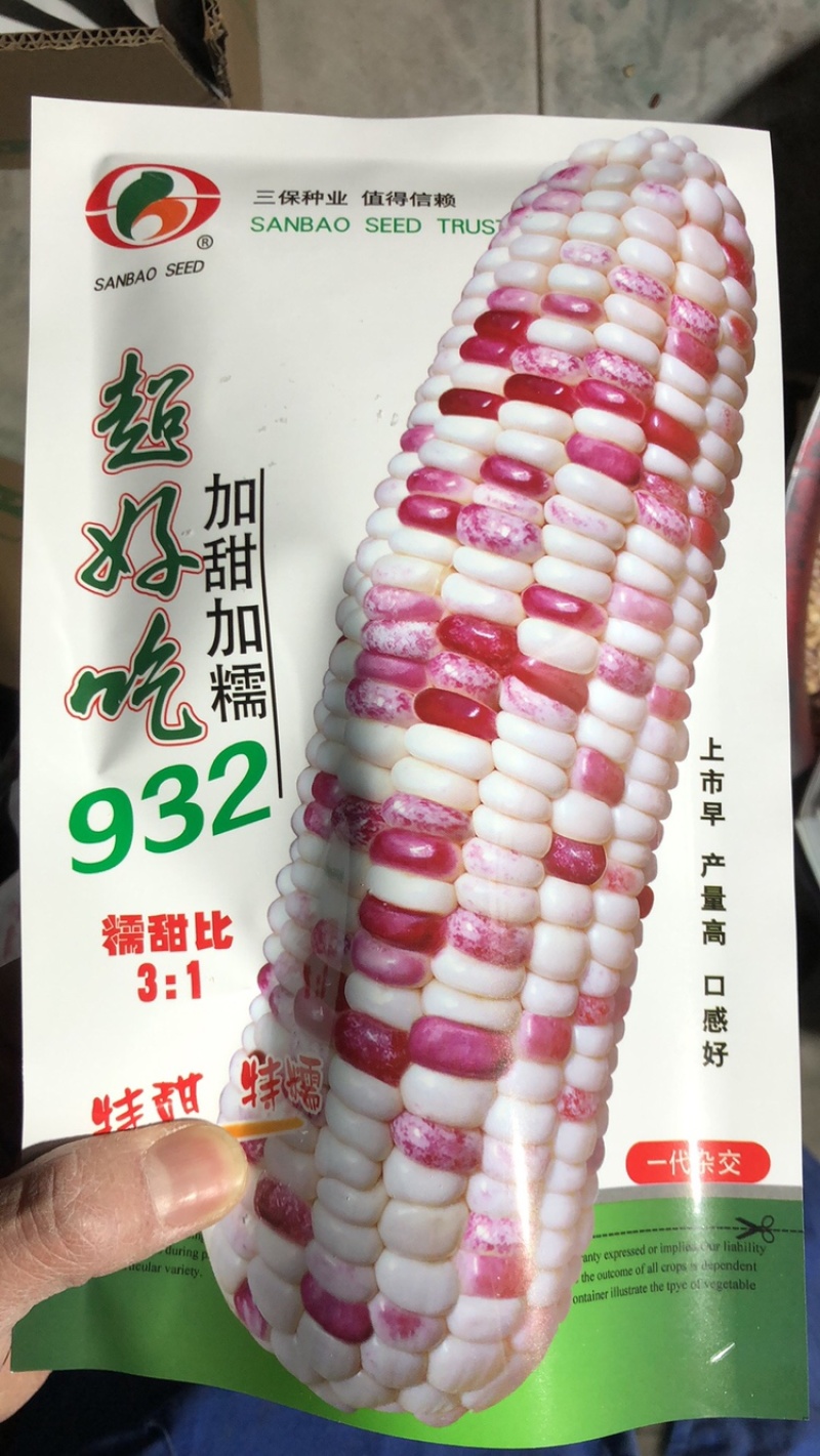 彩甜糯玉米种子