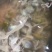 狮头鹅，现杀新鲜发货，长期提供