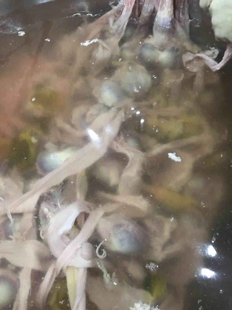 狮头鹅，现杀新鲜发货，长期提供