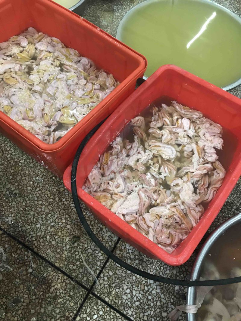 狮头鹅，现杀新鲜发货，长期提供