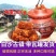 浏河李妈豆腐乳正宗香辣味霉豆腐湖南特产下饭菜豆腐拌饭包邮
