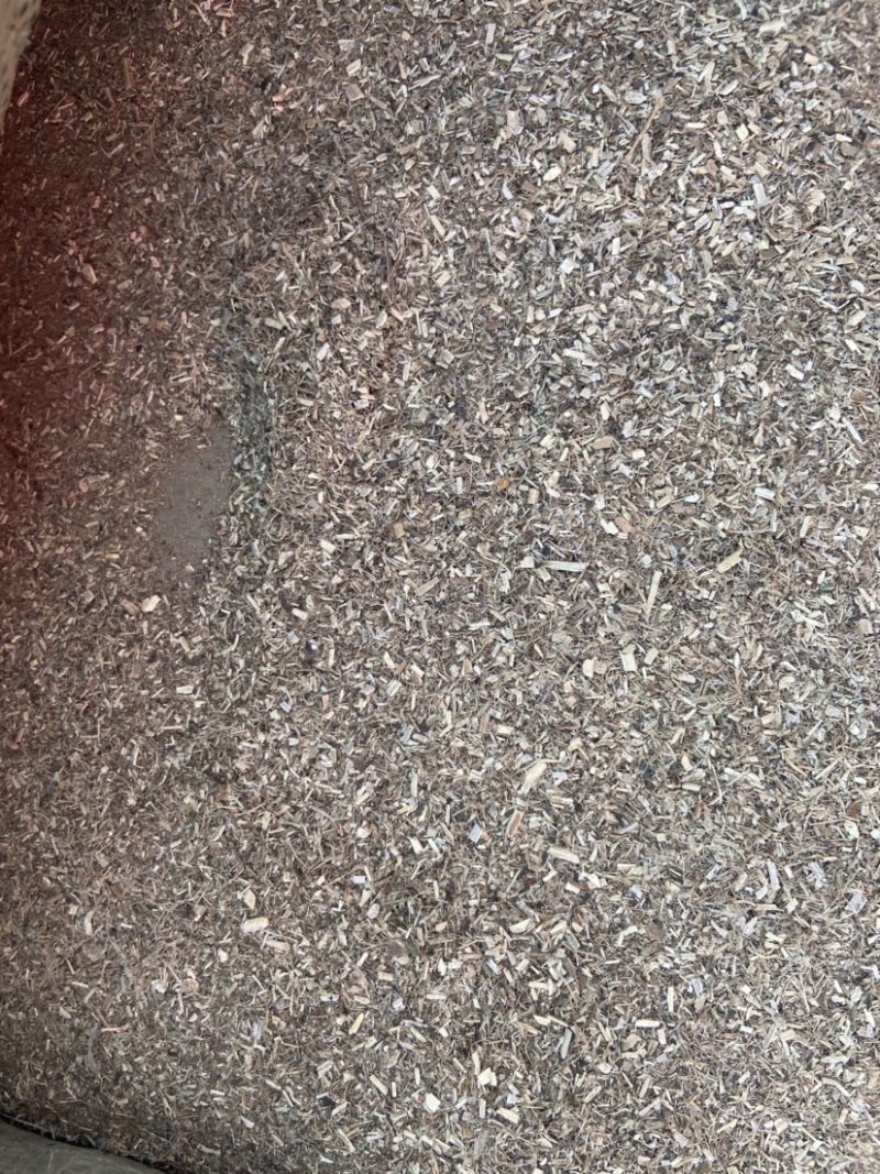 大量花生秧糠