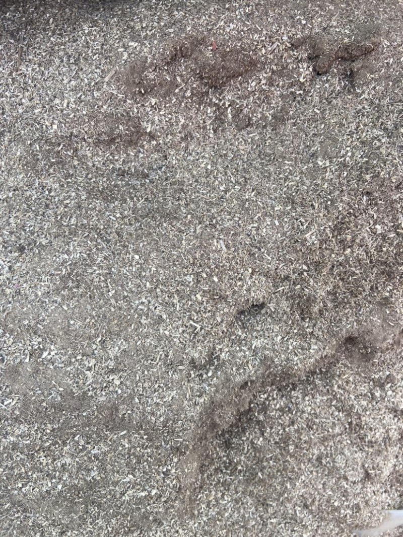 大量花生秧糠