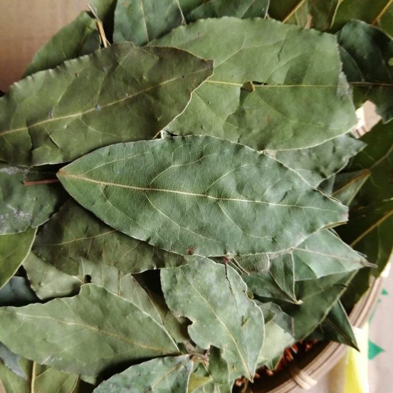 【正品】香叶，调味料，2斤起批，新货绿，无碎无梗，产地