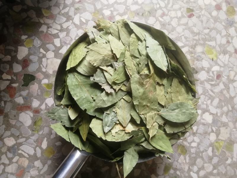 【正品】香叶，调味料，2斤起批，新货绿，无碎无梗，产地