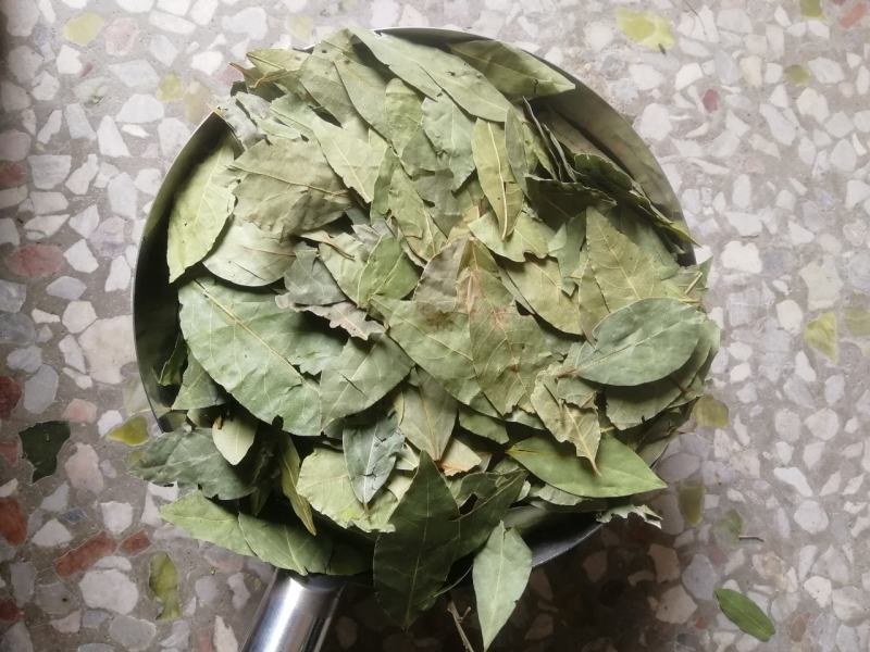 【正品】香叶，调味料，2斤起批，新货绿，无碎无梗，产地