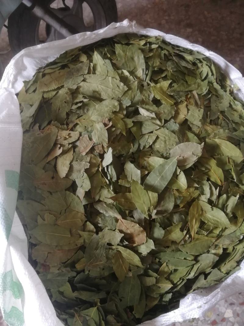 【正品】香叶，调味料，2斤起批，新货绿，无碎无梗，产地