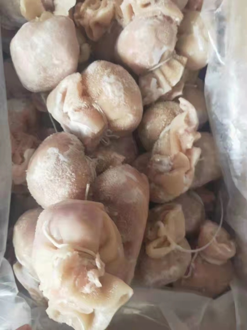 肚包肉大量有货，物美价廉，货源充足，欢迎采购品质保证