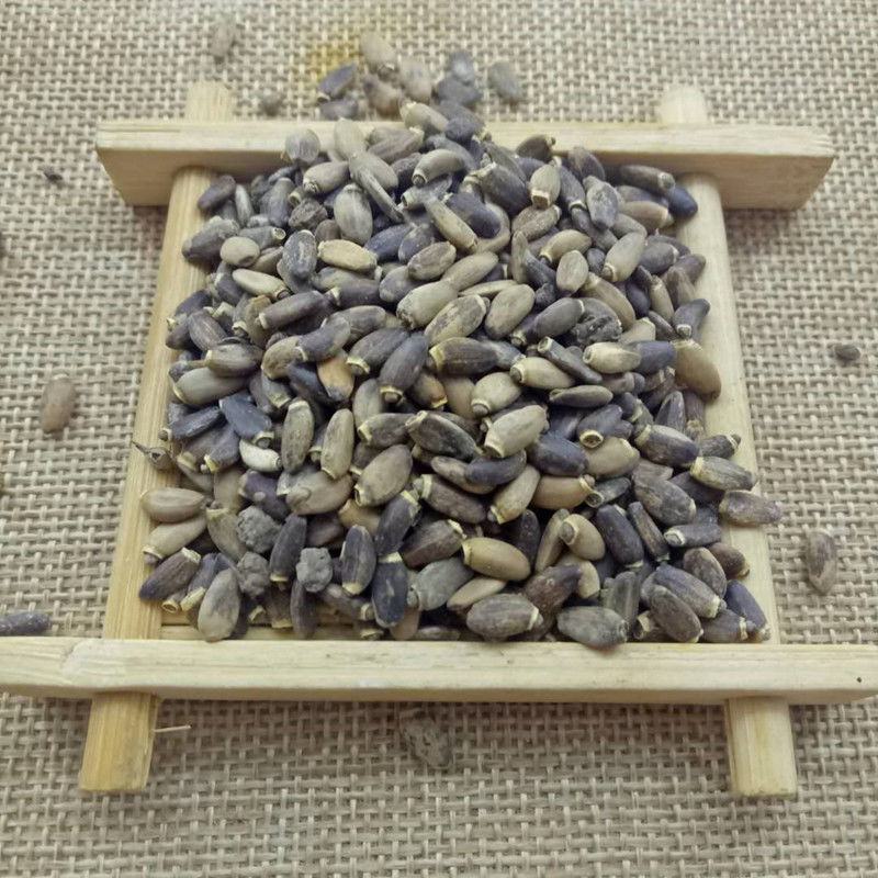 水飞蓟水飞蓟子优质药用干货干净无杂中药材大全
