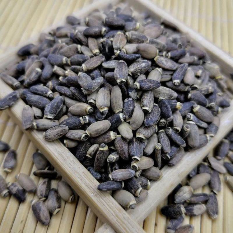 水飞蓟水飞蓟子优质药用干货干净无杂中药材大全