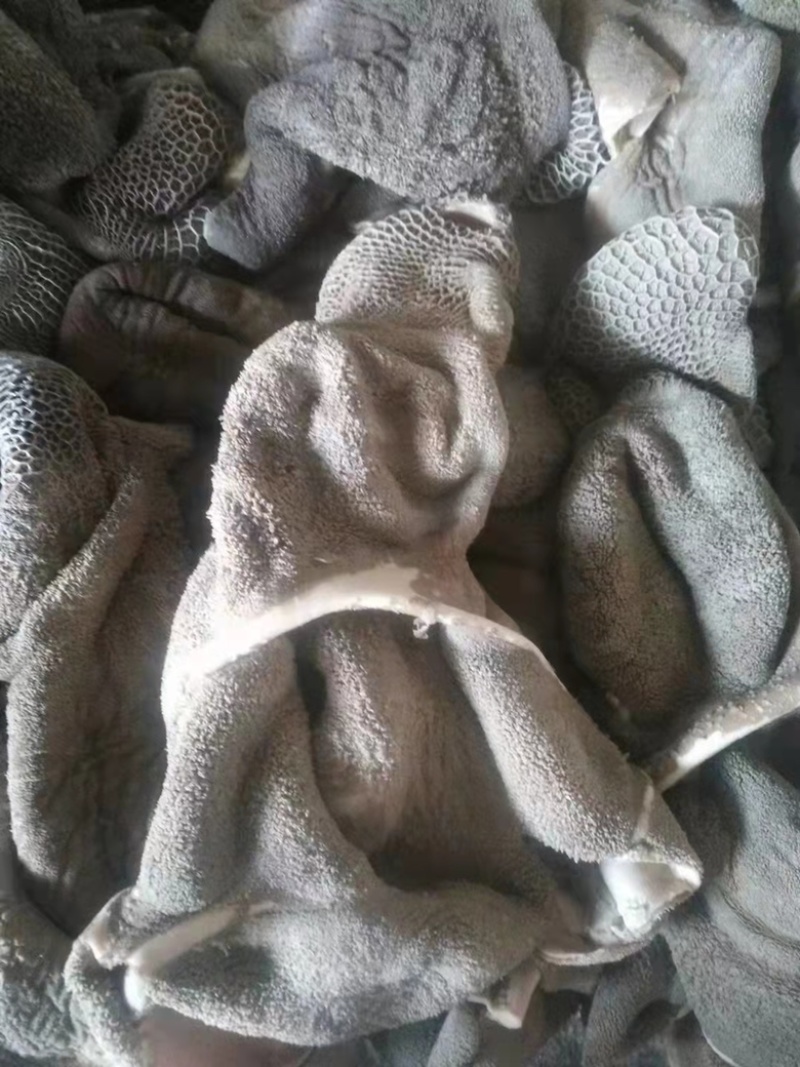半成品牛肚，熟牛肚长期有货，物美价廉，质量稳定