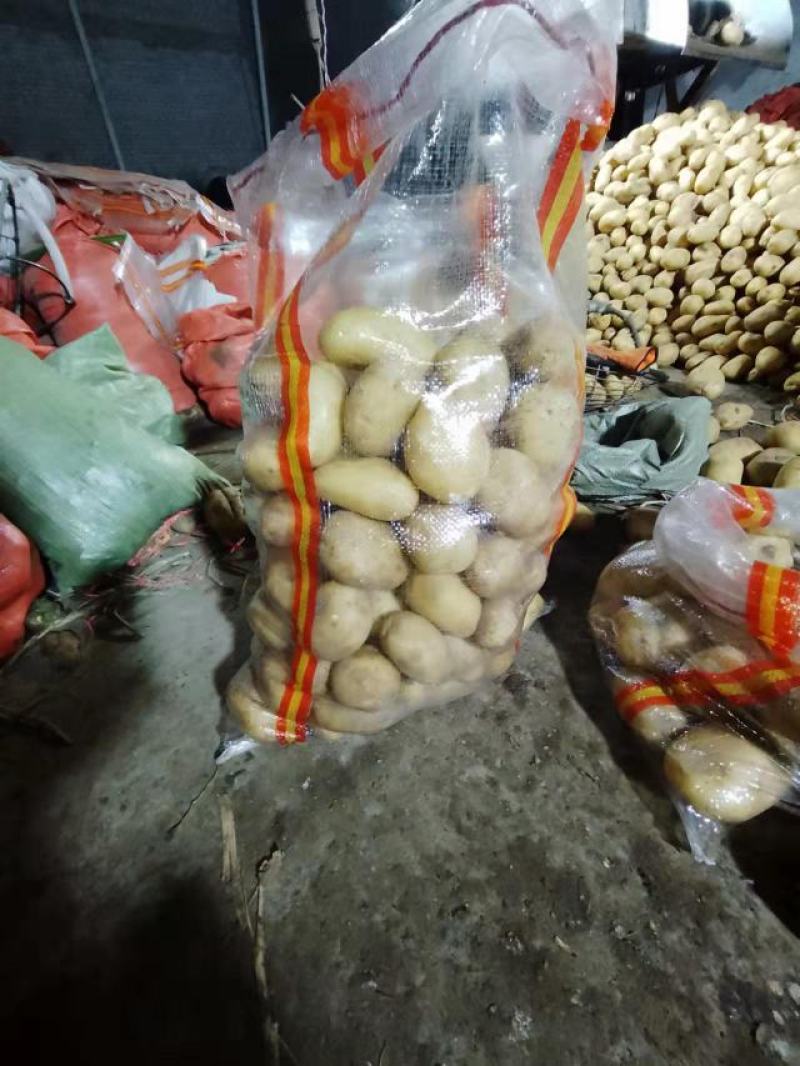 希森黄皮黄心土豆，2-4两，供电商平台及社区团购