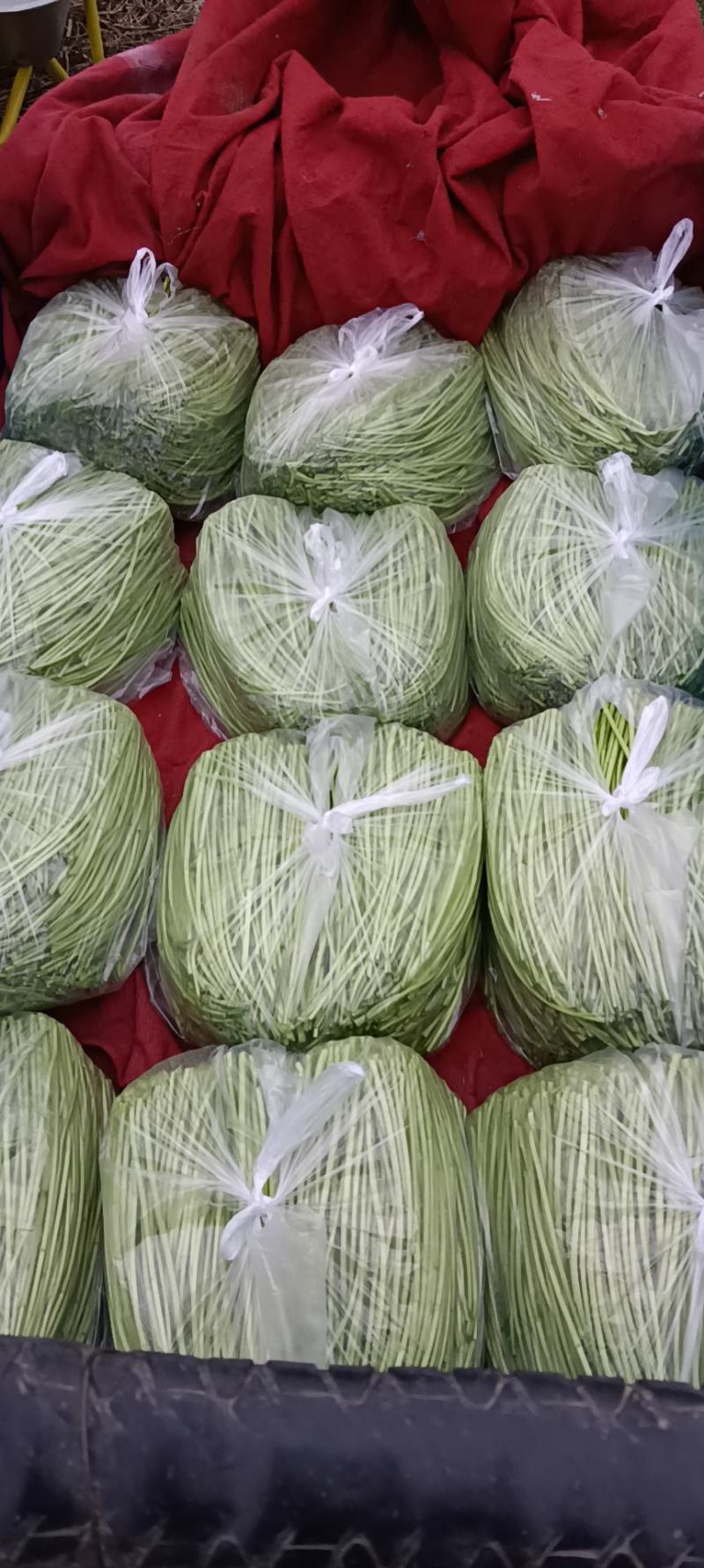 二茬芦蒿，自产自销，产地直发
