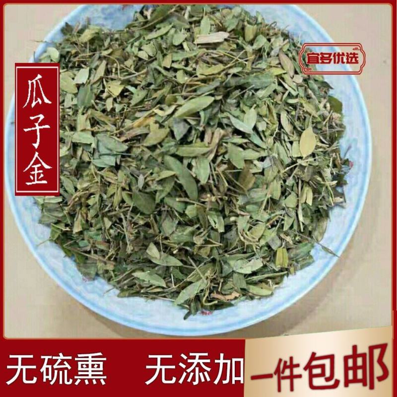 瓜子金无硫干货来马回勒马回惊风草中药材大全