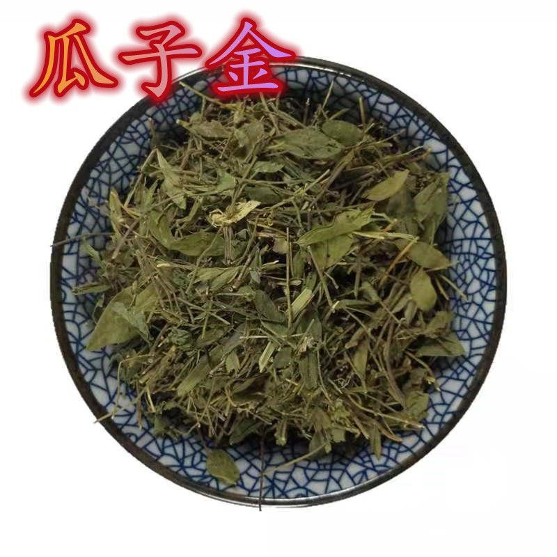 瓜子金无硫干货来马回勒马回惊风草中药材大全