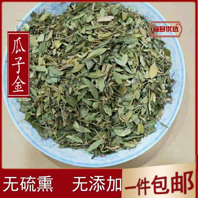 瓜子金无硫干货来马回勒马回惊风草中药材大全
