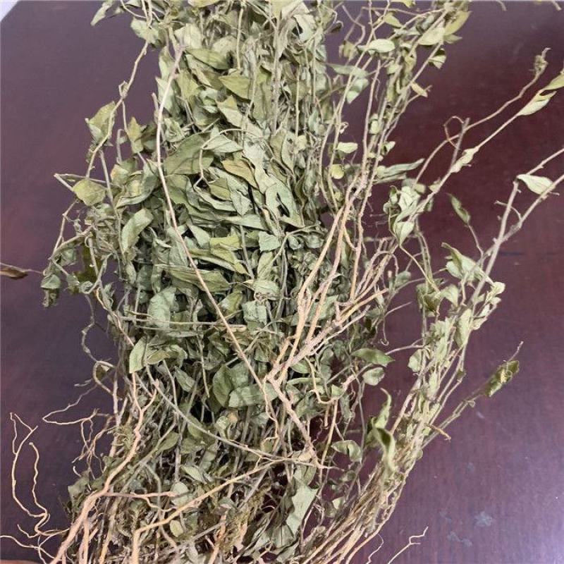 瓜子金无硫干货来马回勒马回惊风草中药材大全