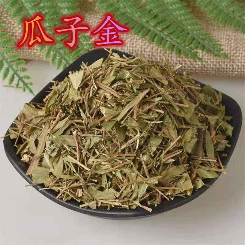 瓜子金无硫干货来马回勒马回惊风草中药材大全