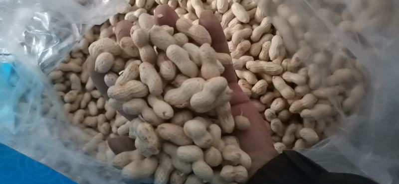 原味地锅炒花生各种味道齐全坏单包赔供应全国