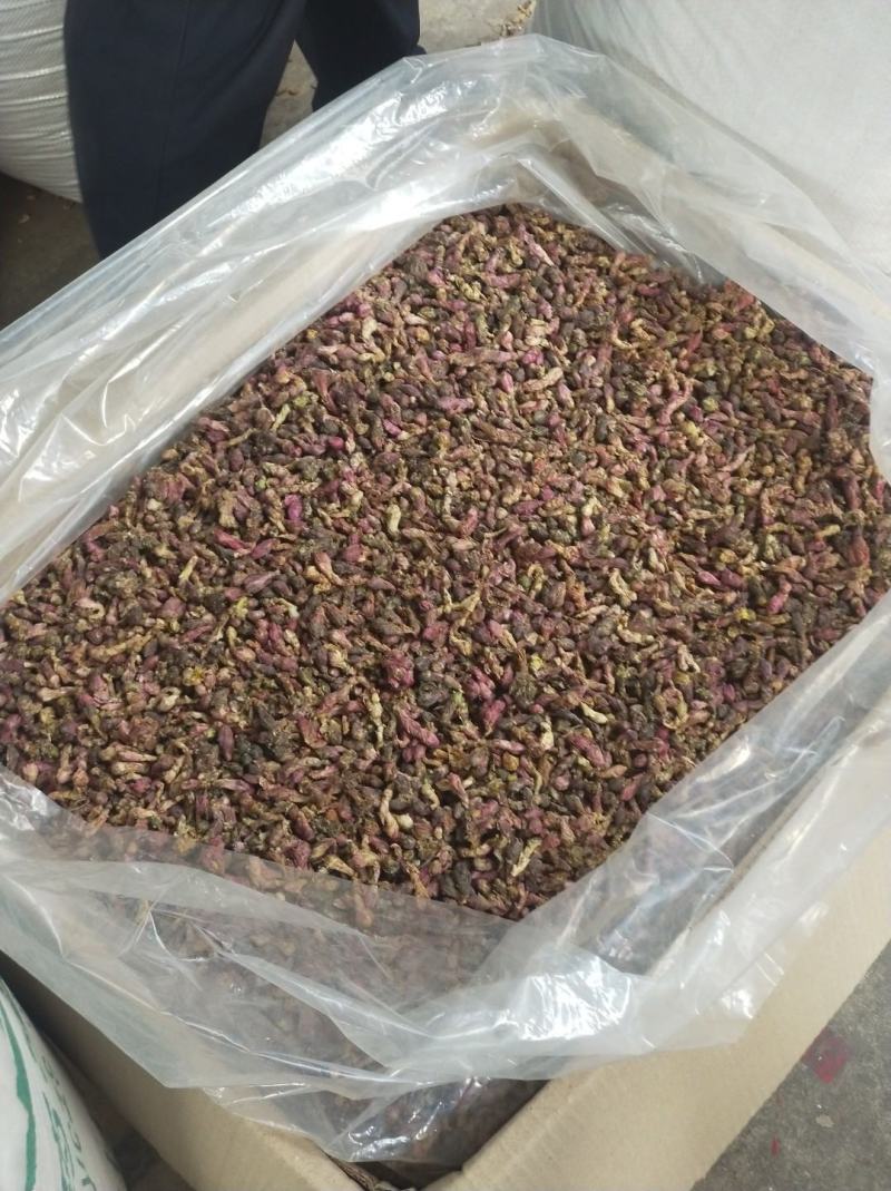 【款冬花甘肃产地手选精品款冬花】精选包邮