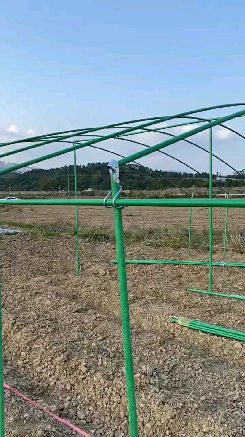 树木支撑大棚立柱葡萄冬爪丝瓜架立杆玻璃纤维管农业包毡玻管